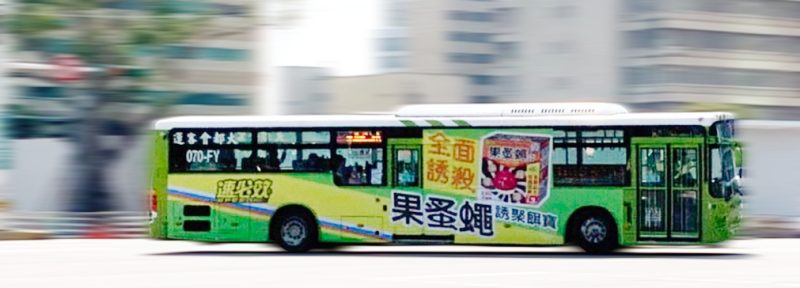 bus果蚤蠅